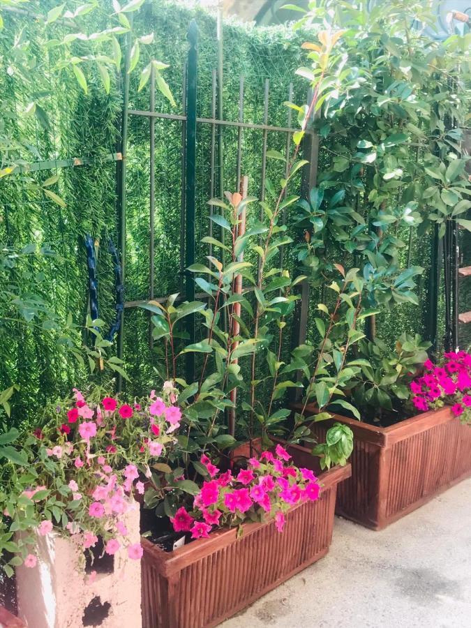 ديسينسانو ديل غاردا Oasi Di Paradiso - Comfy Private Apartment On Ground Floor With Terrace المظهر الخارجي الصورة