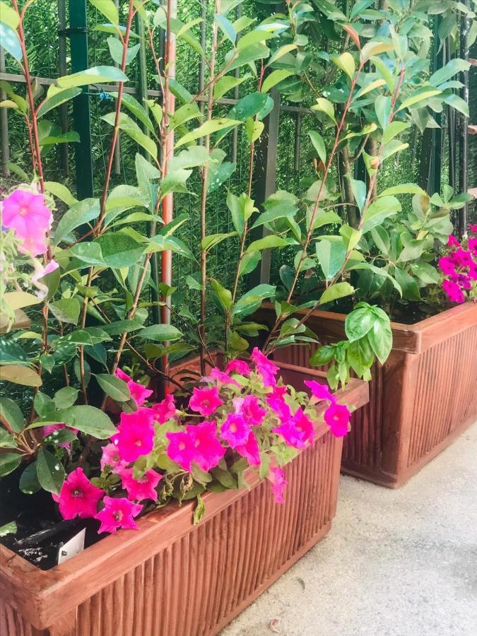 ديسينسانو ديل غاردا Oasi Di Paradiso - Comfy Private Apartment On Ground Floor With Terrace المظهر الخارجي الصورة