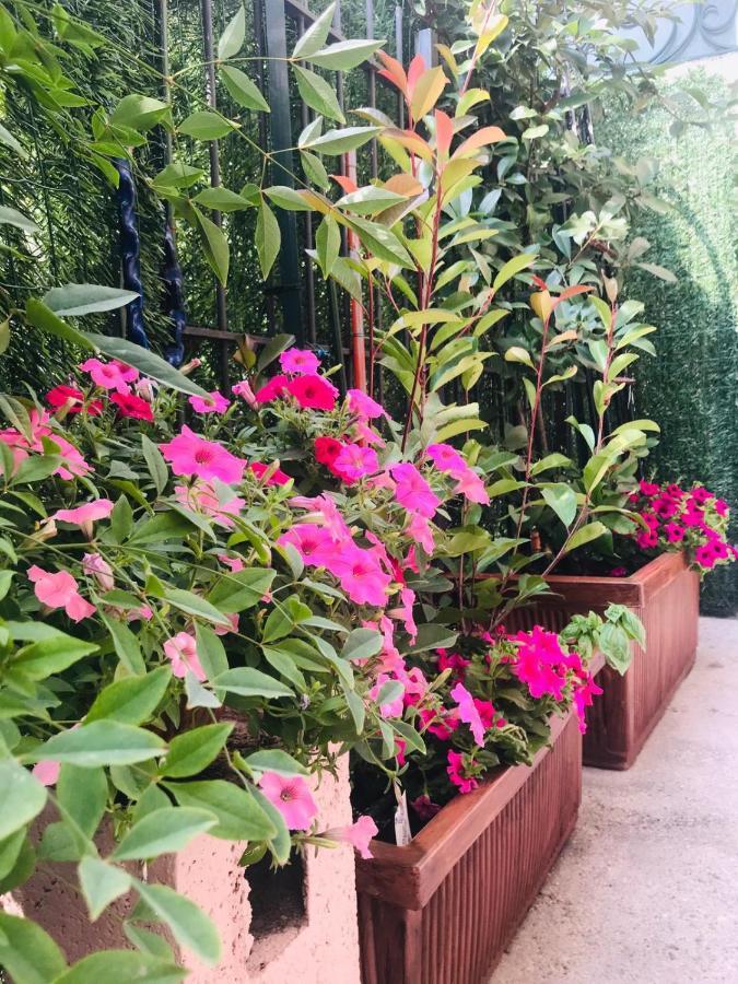 ديسينسانو ديل غاردا Oasi Di Paradiso - Comfy Private Apartment On Ground Floor With Terrace المظهر الخارجي الصورة